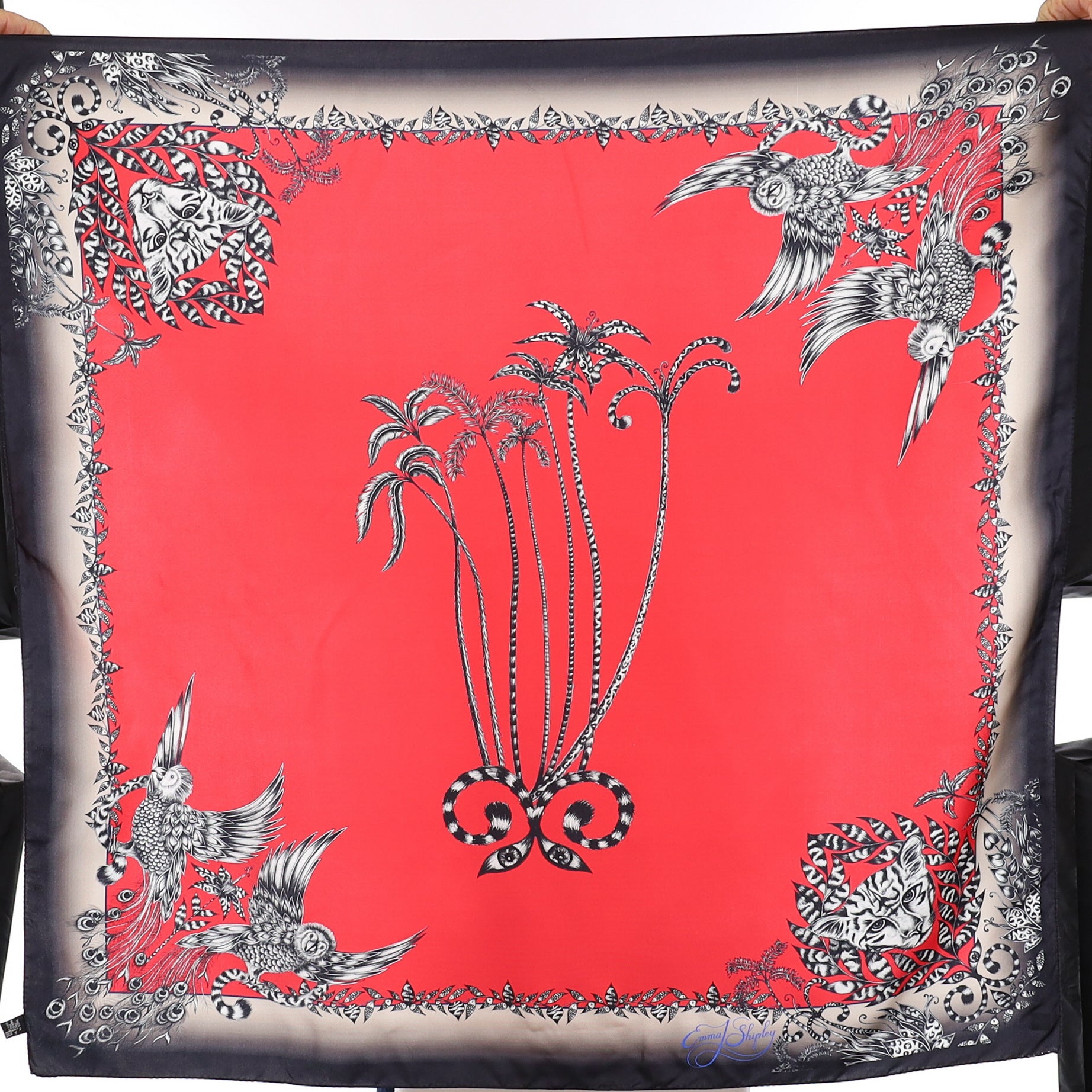 Emma Shipley Red and Black Silk Scarf