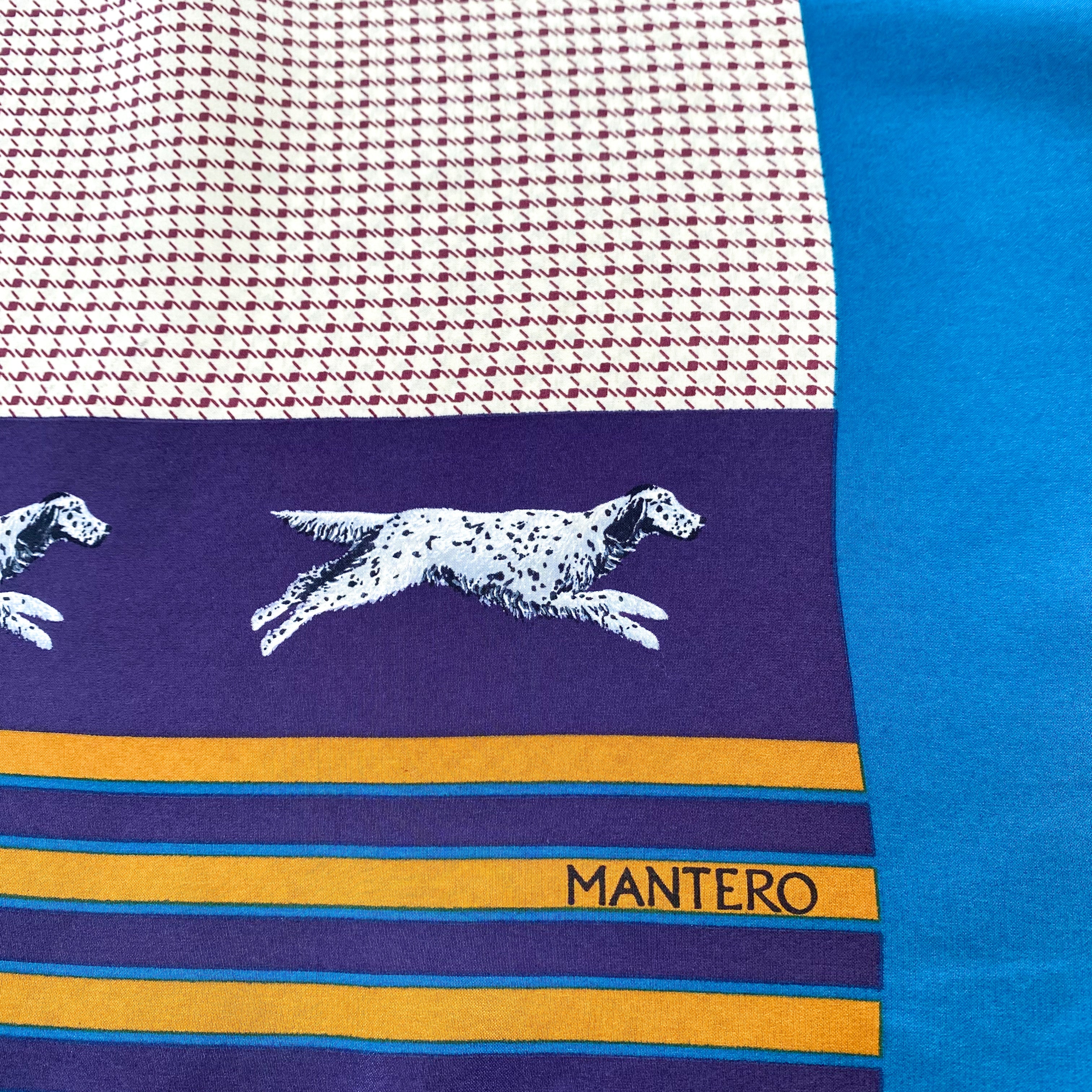 Mantero Silk Scarf