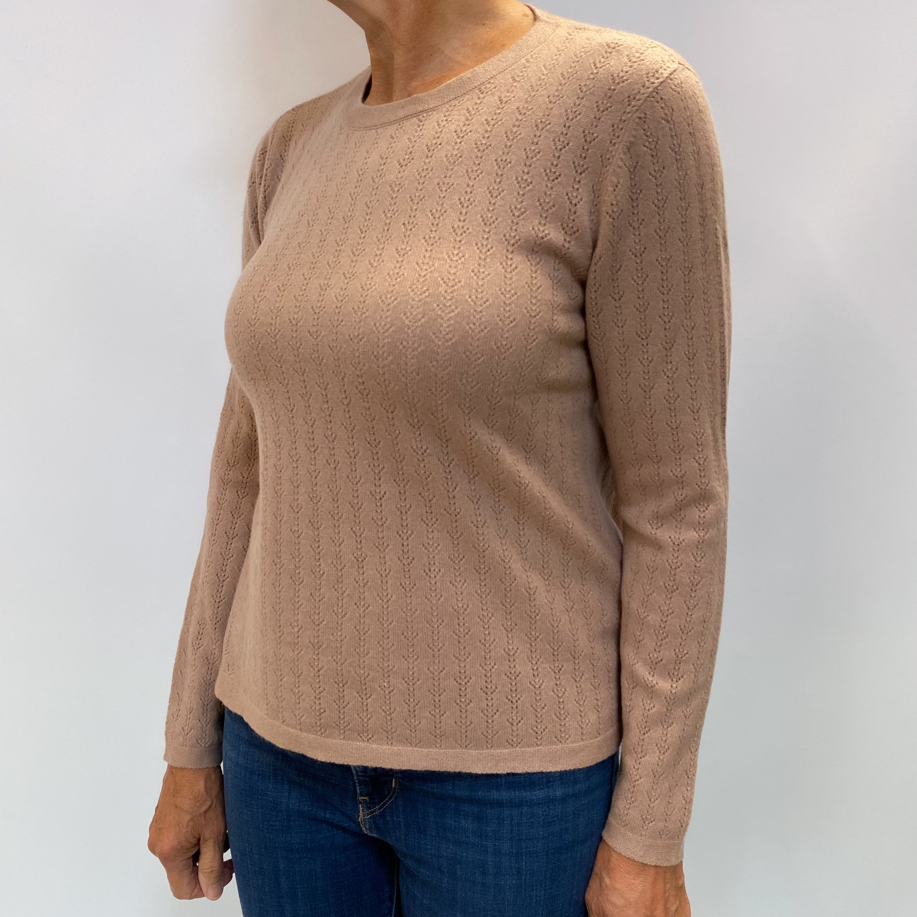 Blush Beige Cashmere Crew Neck Jumper Medium