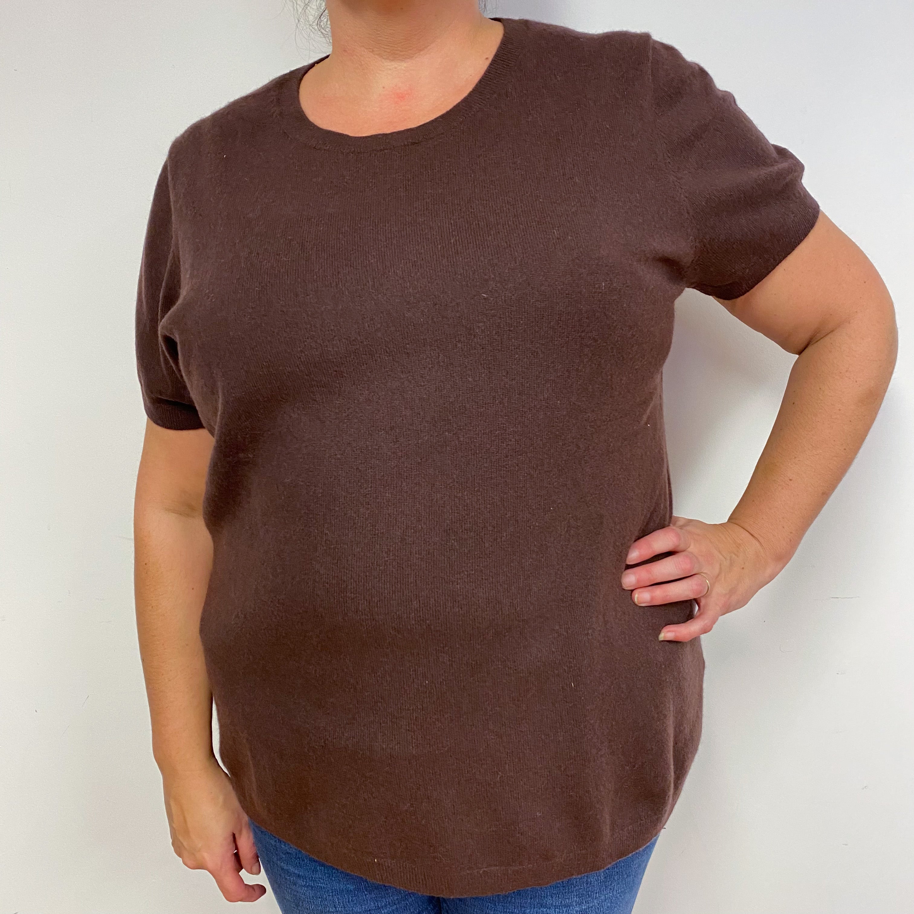 Chocolate Brown Cashmere Short Sleeved Jumper Extra Large